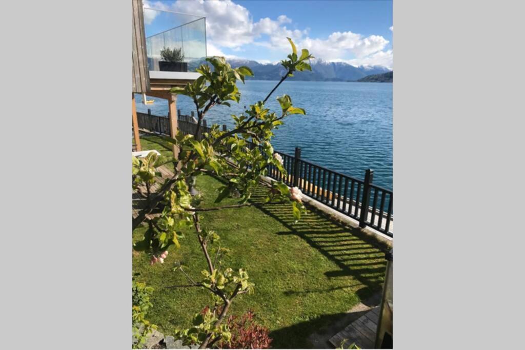 Panoramaresort In Hardangerfjorden Leilighet I Sjokanten Ved Hardangerfjorden For 7 Personer Boat , Sauna,Kajak, Sup For Rent Øystese Exteriör bild