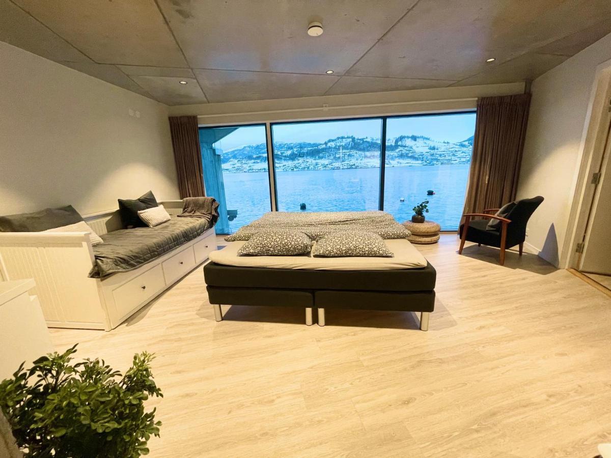 Panoramaresort In Hardangerfjorden Leilighet I Sjokanten Ved Hardangerfjorden For 7 Personer Boat , Sauna,Kajak, Sup For Rent Øystese Exteriör bild